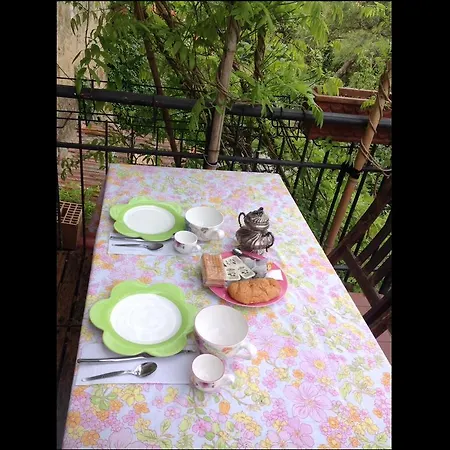 In The Woods Bed & Breakfast