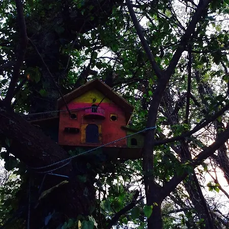 Bed & Breakfast In The Woods *